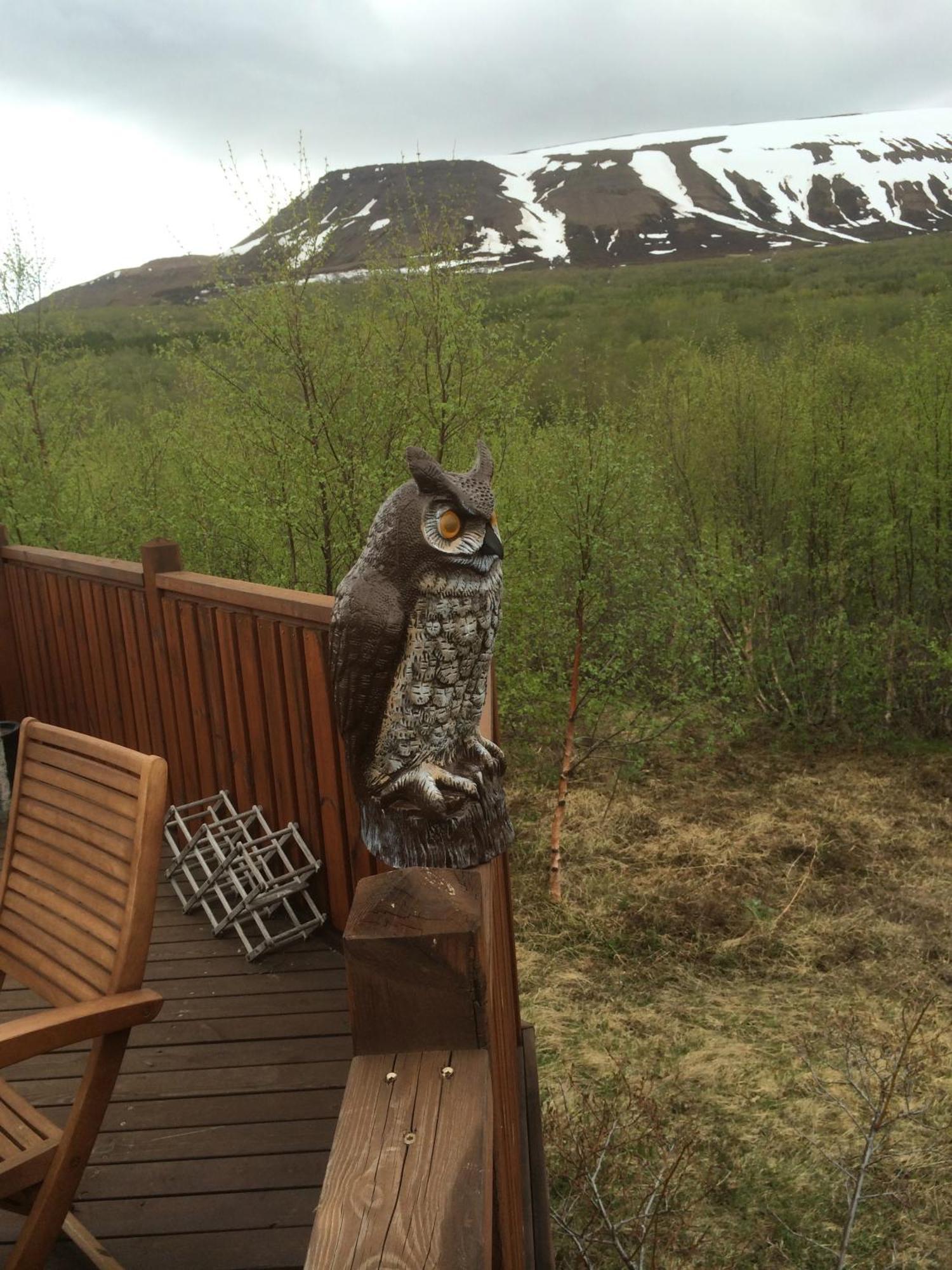 Summerhouse Vaglaskogur Akureyri Exterior foto